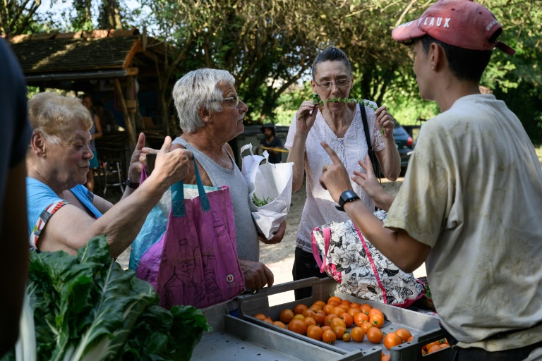 Des légumes vendus sur le marché du