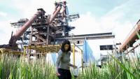 La scientifique Sonia Henry sème des graines sur un site industriel d'Uckange, le 21 mai 2026