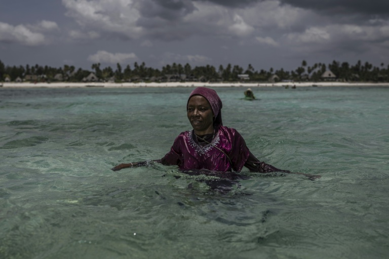 Une agricultrice de la Coopérative des producteurs d'éponges de Zanzibar, une organisation dirigée par des femmes, observe les environs à son arrivée à sa ferme au large de Jambiani (Tanzanie), le 25 octobre 2025