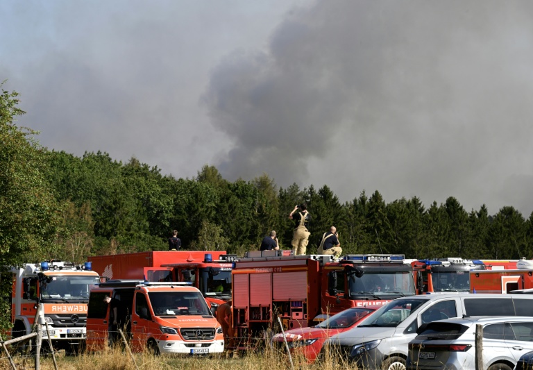 Des pompiers, debout sur le toit de leurs camions, observent un incendie de forêt à Huertgenwald, dans l'ouest de l'Allemagne, le 14 août 2026
