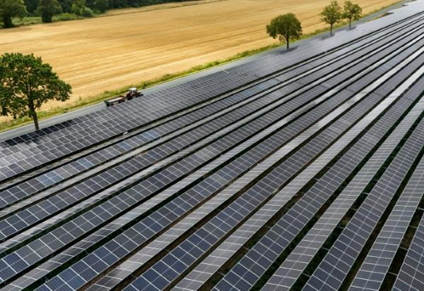 Installation agrivoltaïque à Wadersloh (ouest), juillet 2026