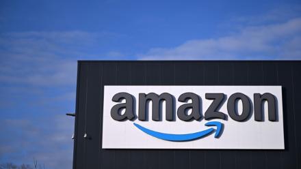 Amazon a annoncé mardi le retrait de sa plateforme de vente d'un livre de "dark romance" mis en cause pour apologie de la pédophilie et de la pédocriminalité, qui a également fait l'objet d'un signalement à la justice