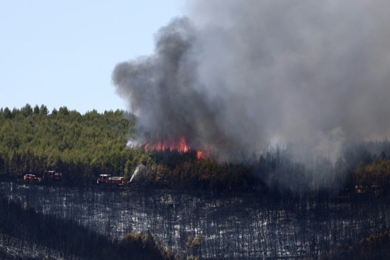 Des pompiers luttent contre un incendie de forêt à Taradeau, le 20 juillet 2026 dans le Var
