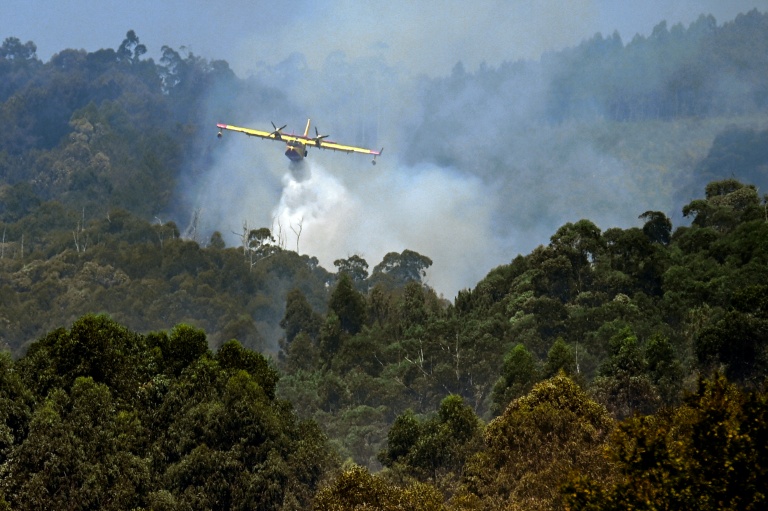 Un avion combat un incendie près du village de Vilaboa, dans le nord-ouest de l'Espagne le 22 août 2025.

