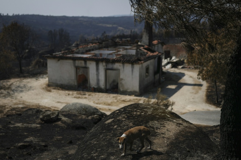 Une maison détruite dans le village portugais de Casal do Monte,  le 20 août 2025.


