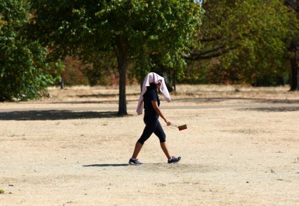 Une personne protège sa tête contre le soleil à Hyde Park, dans le centre de Londres, le 9 août 2026 lors d'une vague de chaleur