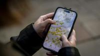Ruta Gaskauskaite présente sur son téléphone une application qui permet aux utilisateurs de trouver les abris les plus proches, à Vilnius, le 28 mai 2026, en Lituanie