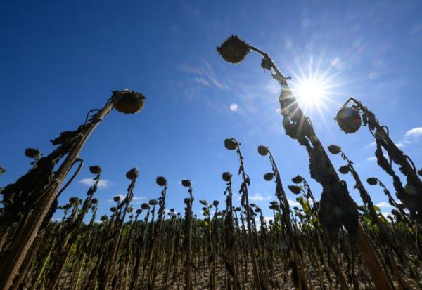 Après une sécheresse historique, Solidarité Paysans au chevet d'agriculteurs à bout