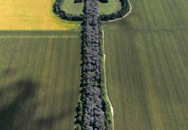 Vue aérienne de l'Estancia La Guitarra (la Ferme de la guitare), entourée de champs de maïs, près de General Levalle, dans le sud de la province de Cordoba, en Argentine, le 30 mars 2026