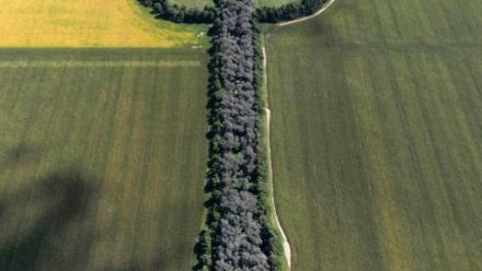Vue aérienne de l'Estancia La Guitarra (la Ferme de la guitare), entourée de champs de maïs, près de General Levalle, dans le sud de la province de Cordoba, en Argentine, le 30 mars 2026