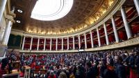 La proposition de loi pour réintroduire des néonicotinoïdes en France poursuit mardi son examen en commission des Affaires économiques