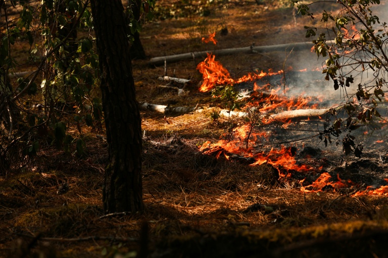 Des feux dans la forêt de Lege-Cap-Ferret, le 29 juillet 2026