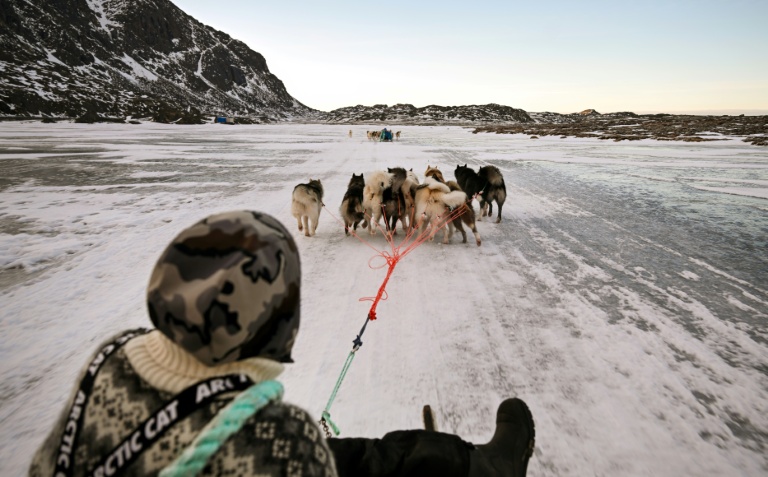Le musher Nukaaraq Olsen conduit ses chiens de traineau pour une promenade près de Sisimiut, au Groenland, le 31 janvier 2026