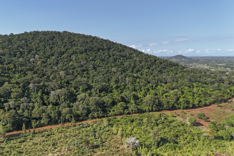 Vue aérienne d'une partie de la colline boisée de Mrima hill, à Lunga-Lunga, dans le sud-est du Kenya près de la frontière tanzanienne, le 26 septembre 2025