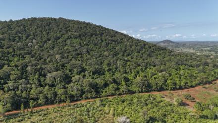 Vue aérienne d'une partie de la colline boisée de Mrima hill, à Lunga-Lunga, dans le sud-est du Kenya près de la frontière tanzanienne, le 26 septembre 2025