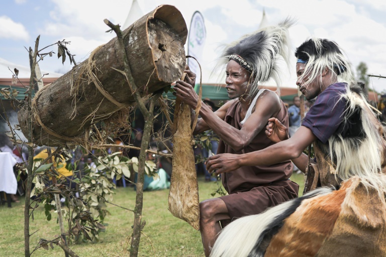Des apiculteurs traditionnels effectuent une simulation de récolte de miel à partir de ruches fabriquées dans des troncs d'arbres lors du 6e festival culturel annuel Ogiek dans le quartier de Nkareta du comté de Narok, le 15 août 2025 au Kenya