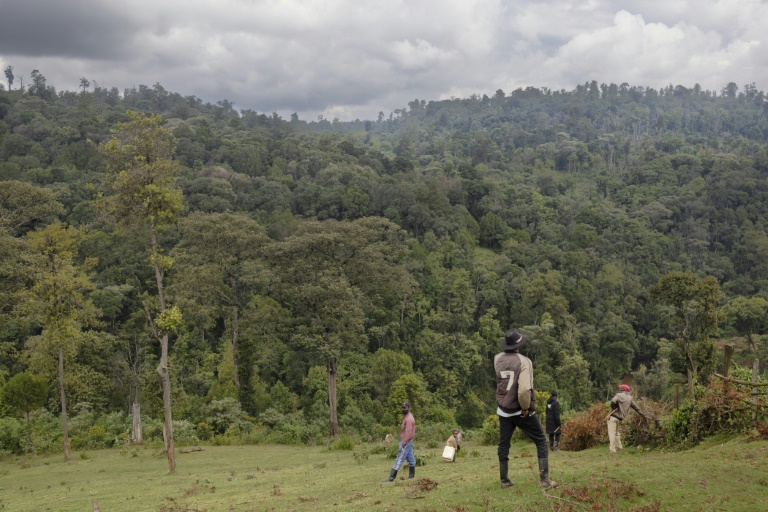 Des membres d'une famille de la communauté Ogiek, expulsés de la forêt de Mau, se tiennent sur une crête à la lisière de la forêt, près de la ville d'Oloikirikirai dans le comté de Narok, le 16 août 2025 au Kenya