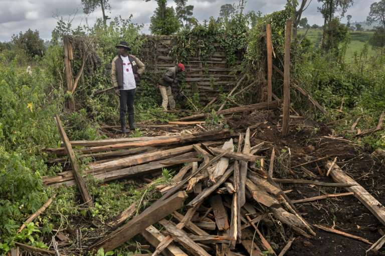 Fred Ngusilo (g), militant des droits humains de la communauté Ogiek, fouille avec un proche les débris de sa maison familale dans la forêt de Mau, dans le comté de Narok, le 16 août 2025 au Kenya