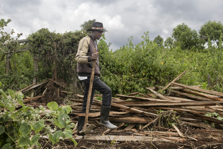 Fred Ngusilo, militant des droits humains de la communauté Ogiek, fouille les débris de sa maison familale dans la forêt de Mau, dans le comté de Narok, le 16 août 2025 au Kenya