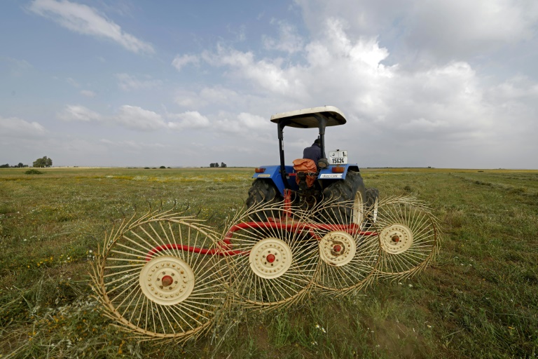 Un agriculteur utilise une machine de ramassage du foin dans un champ de la région de Zehiliga, au Maroc, le 28 avril 2026