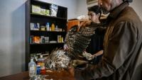 Le soigneur Zaheer Ahmed (d) s'occupe d'un milan blessé au Centre de sauvetage Margallah à Islamabad, le 7 juillet 2026 au Pakistan
