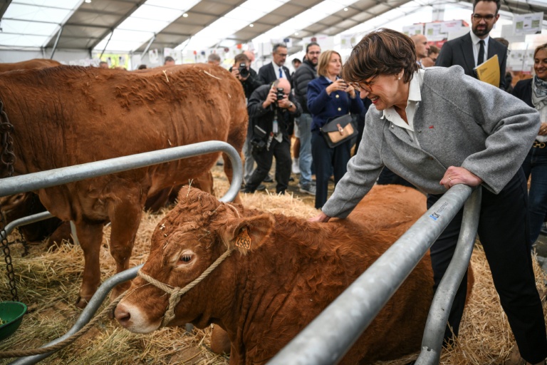 La ministre de l'Agriculture Annie Genevard visite le Sommet de l'élevage à Cournon-d'Auvergne, le 8 octobre 2026 dans le Puy-de-Dôme