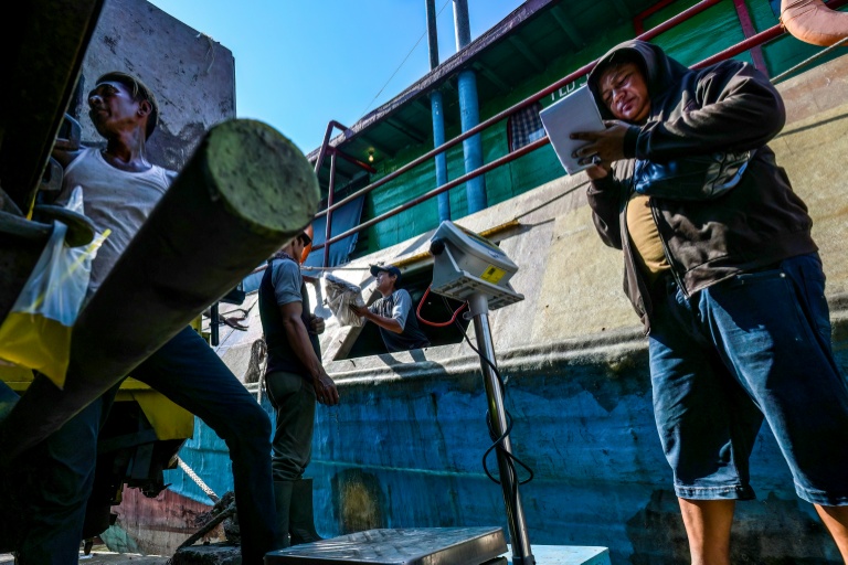 Des membres d'équipage déchargent leur pêche au port de Nusantara, à Kejawan-Cirebon, le 11 juin 2026 en Indonésie