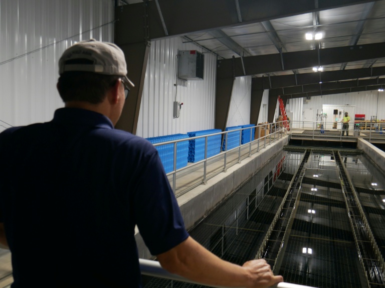 Lance Lin, directeur de la Rare Earth Elements Initiative de l'Université de Virginie-Occidentale, devant les bassins d'une installation de traitement de drainage minier acide, le 12 août 2026 à Mount Storm, en Virginie-Occidentale (Etats-Unis)