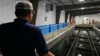 Lance Lin, directeur de la Rare Earth Elements Initiative de l'Université de Virginie-Occidentale, devant les bassins d'une installation de traitement de drainage minier acide, le 12 août 2026 à Mount Storm, en Virginie-Occidentale (Etats-Unis)