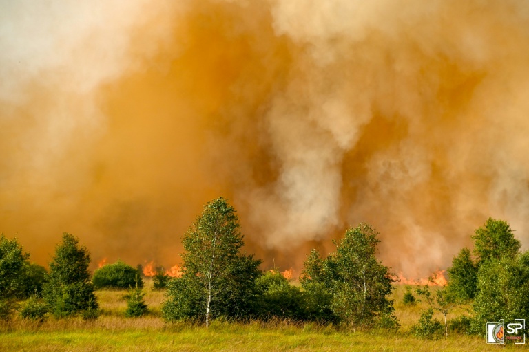 Photo non datée, diffusée le 17 août 2026 par VHP, montrant un pompier luttant contre un feu de forêt dans la réserve naturelle des Hautes Fagnes, en Belgique