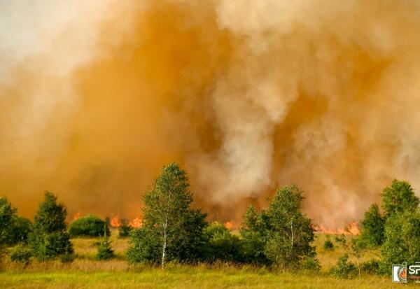 Photo non datée, diffusée le 17 août 2026 par VHP, montrant un pompier luttant contre un feu de forêt dans la réserve naturelle des Hautes Fagnes, en Belgique