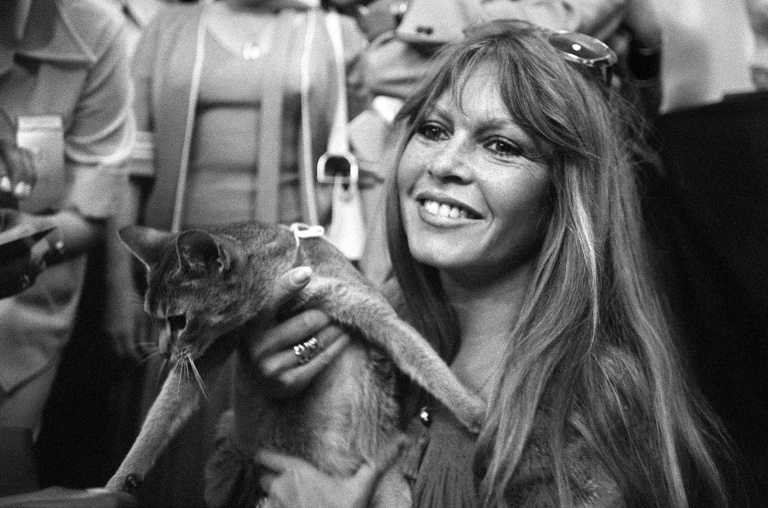 Brigitte Bardot lors d'une exposition féline à Saint-Tropez, le 4 juin 1977 