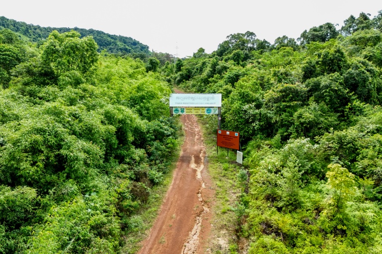 Vue aérienne d'une route menant à une station de réintroduction de tigres dans le parc national des Cardamomes, dans la province de Koh Kong, le 11 juin 2026 au Cambodge