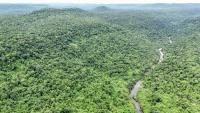Vue aérienne du parc national des Cardamomes, dans la province de Koh Kong, le 11 juin 2026 au Cambodge