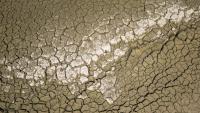 Vue aérienne du lit asséché du lac des Brenets, frontière naturelle entre l'est de la France et l'ouest de la Suisse lors d'une nouvelle vague de chaleur, le 11 août 2026