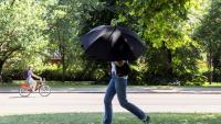 Une personne s'abrite du soleil avec un parapluie, le 22 juin 2026 à Hyde Park, à Londres