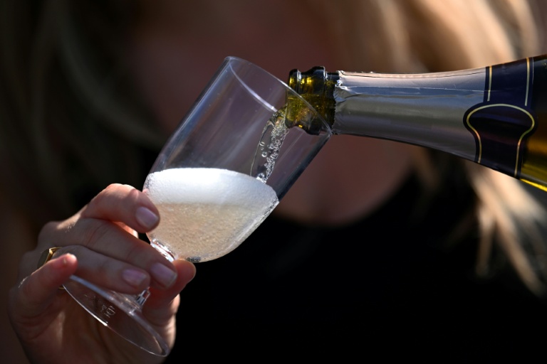 Les vendanges 2026 ont été les plus précoces jamais observées en Champagne, avec de premiers coups de sécateurs dès le 6 août