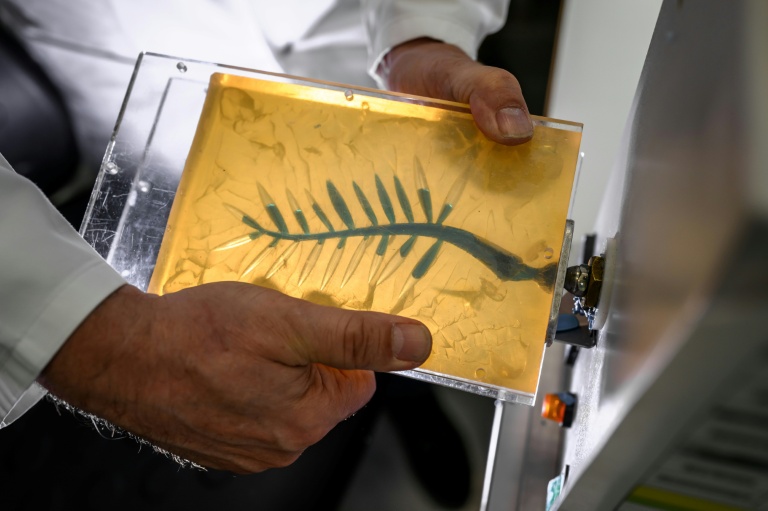 Un artisan injecte de la cire bleue dans un moule en caoutchouc lors d'une démonstration sur la fabrication de la Palme d'or de Cannes, le 21 avril 2026, dans un atelier de la maison Chopard à Meyrin, près de Genève 