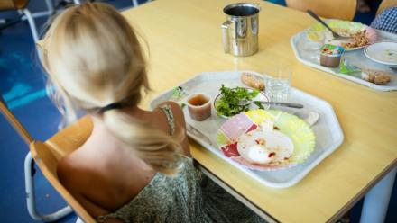 Huit mairies, dont Paris et Lyon, ont temporairement banni le thon des menus de leurs cantines scolaires pour "faire cesser l'exposition des enfants au mercure", un métal neurotoxique