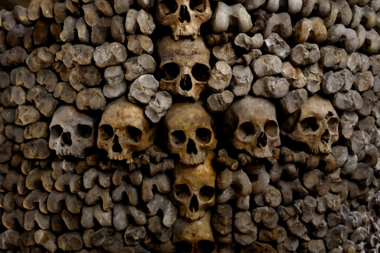 Des crânes et des ossements humains alignés contre un mur des catacombes de Paris, le 24 mars 2026