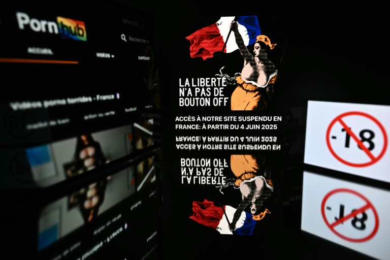 Certaines entreprises, comme le géant du secteur Aylo, maison mère des plateformes Youporn, Pornhub et Redtube, refusent de mettre en place des mesures pour vérifier l'âge des utilisateurs, évoquant notamment la question de la sécurité des internautes