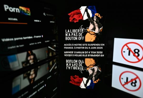 Certaines entreprises, comme le géant du secteur Aylo, maison mère des plateformes Youporn, Pornhub et Redtube, refusent de mettre en place des mesures pour vérifier l'âge des utilisateurs, évoquant notamment la question de la sécurité des internautes