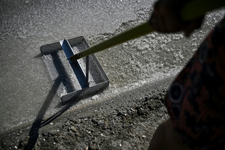 La saunière française Annabelle Poinot récolte la fleur de sel qui forme une fine croûte à la surface de l’eau de mer acheminée à travers les bassins d’un marais salant à Château-d’Oléron, sur l’île d’Oléron, dans le sud-ouest de la France, le 17 juin 2026