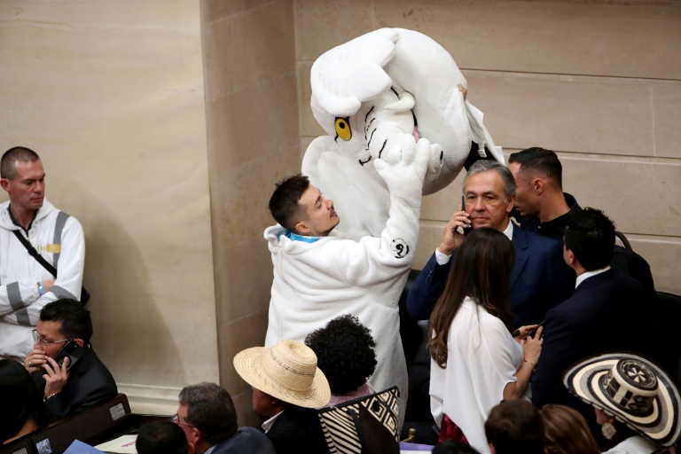 Le nouveau sénateur colombien et militant anticorruption, Luis Carlos Rúa, vêtu de son costume d'éléphant blanc, lors de la séance de prestation de serment au Congrès, le 20 juillet 2026 à Bogota