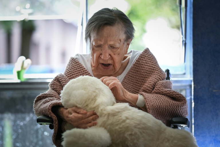 Une patiente de l'hôpital Broca à Paris tient dans ses bras Paro, une peluche phoque animée par IA, le 16 septembre 2026