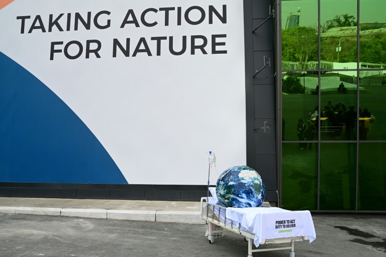 Une installation de Greenpeace à l'extérieur du bâtiment accueillant la COP 17 à Erevan en Arménie le 27 octobre 2026