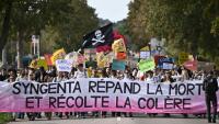 Manifestation près d'une usine du fabricant de pesticides et semencier Syngenta, à Saint-Pierre-la-Garenne, le 3 octobre 2026