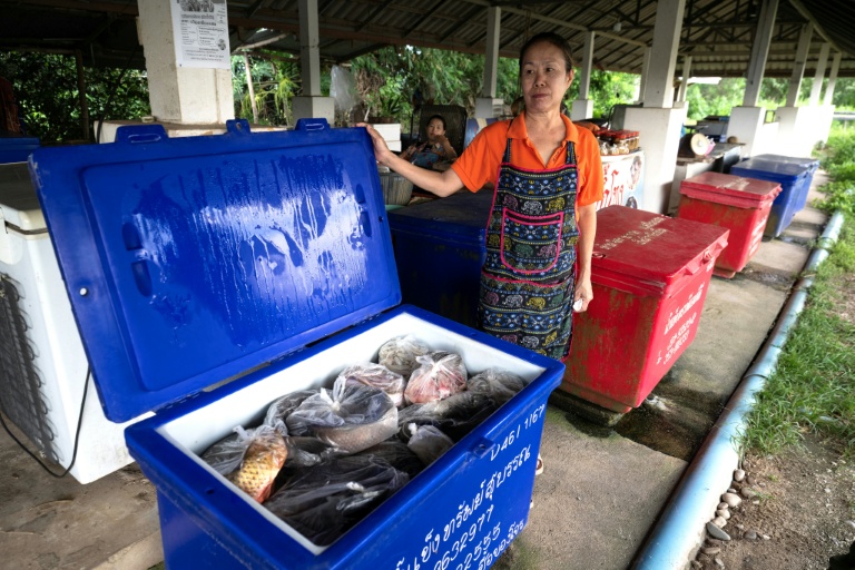 La commerçante Buakhlee Srisawat montre sa marchandise sur un petit marché aux poissons près de Chiang Saen, le 4 juin 2026