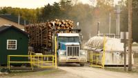 Un camion transportant des grumes de bois à la scierie Pleasant River Lumber à Enfield, dans le Maine, le 13 octobre 2026, aux Etats-Unis