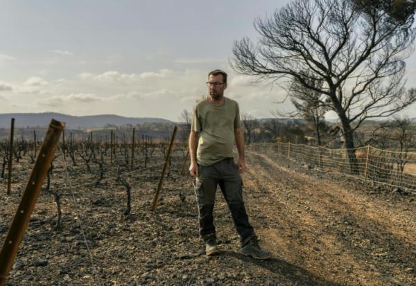 Le vigneron Laurent Bachevillier, qui a perdu toute sa récolte lors de l'incendie géant qui a ravagé les Corbières, le 22 août 2025 dans son domaine "Les Cascades", à Tournissan, dans l'Aude   